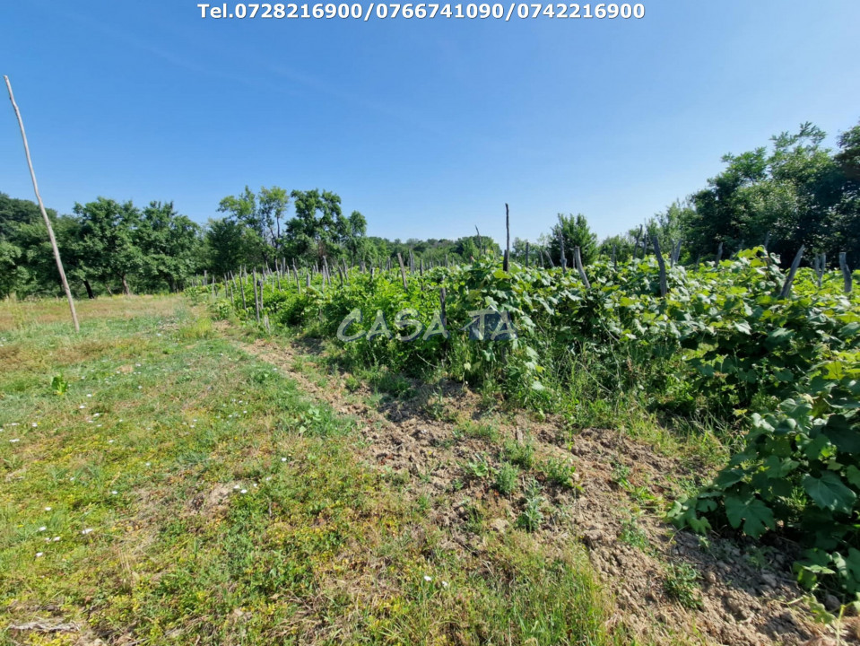 Casa 3 Camere + Teren si Anexe, Tîrculesti- Danesti