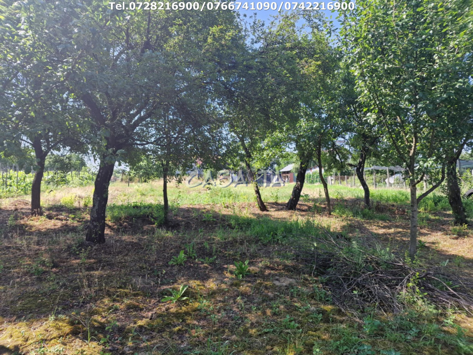 Casa 3 Camere + Teren si Anexe, Tîrculesti- Danesti