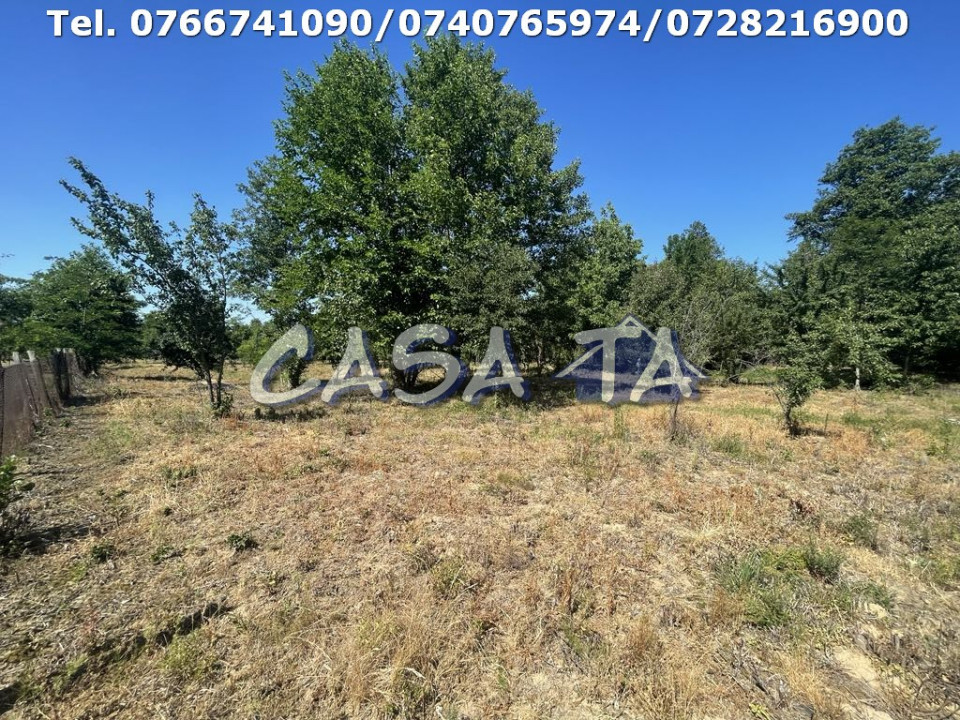 Casa 4 Camere, Parter, Runcu - Baltisoara