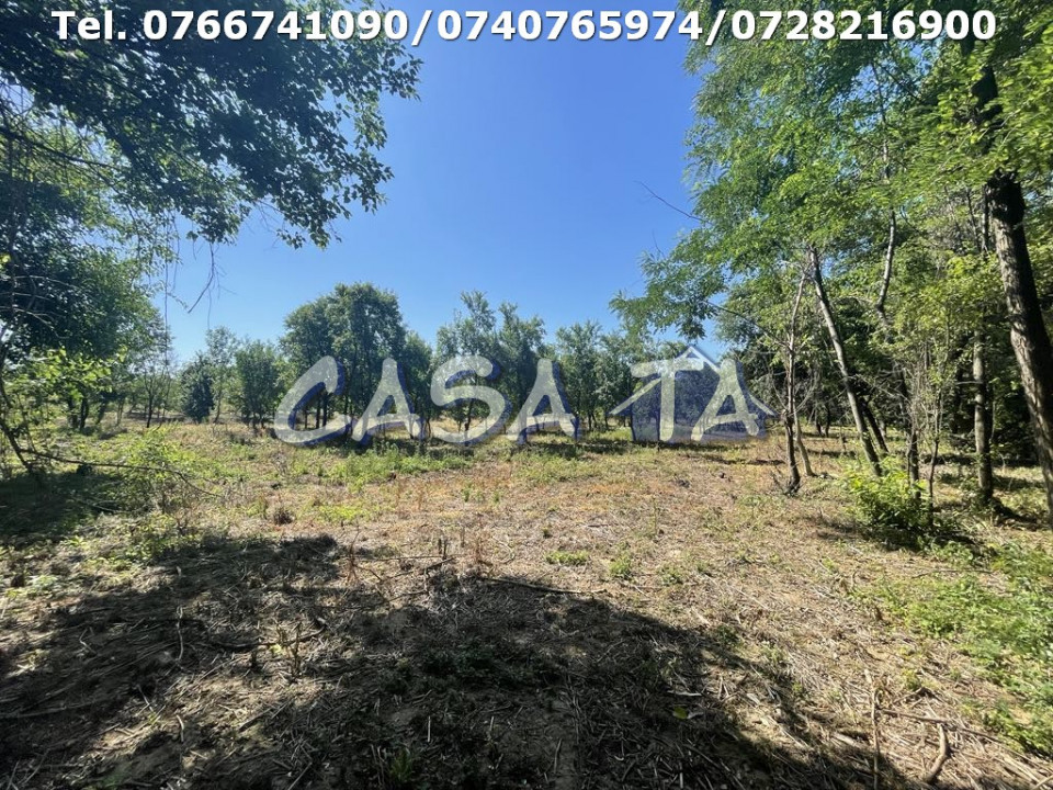 Casa 4 Camere, Parter, Runcu - Baltisoara