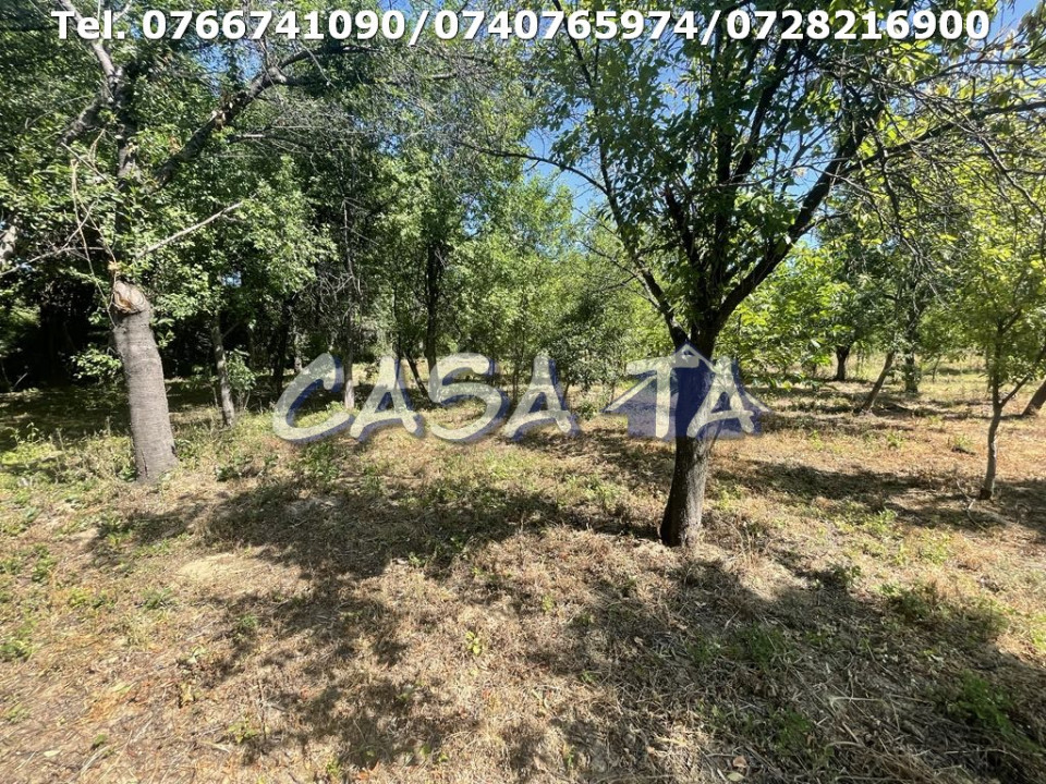 Casa 4 Camere, Parter, Runcu - Baltisoara
