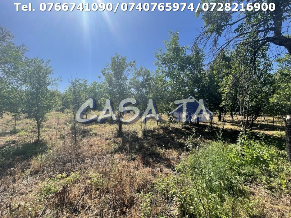 Casa 4 Camere, Parter, Runcu - Baltisoara
