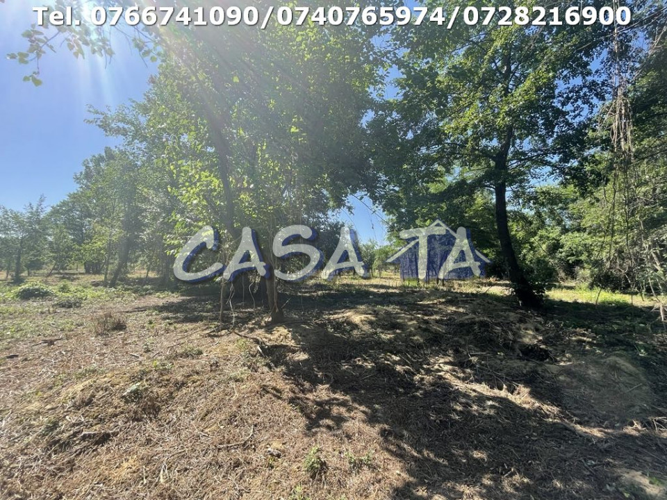 Casa 4 Camere, Parter, Runcu - Baltisoara