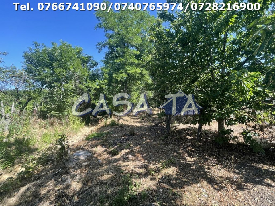 Casa 4 Camere, Parter, Runcu - Baltisoara
