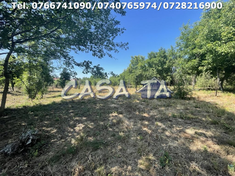 Casa 4 Camere, Parter, Runcu - Baltisoara