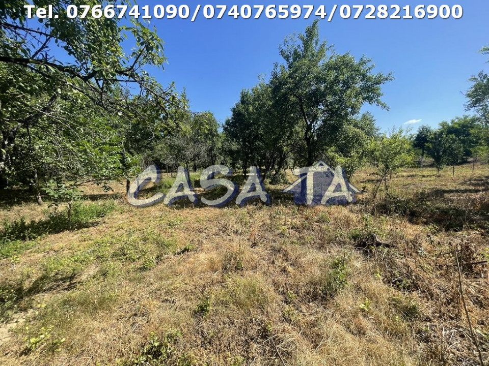 Casa 4 Camere, Parter, Runcu - Baltisoara