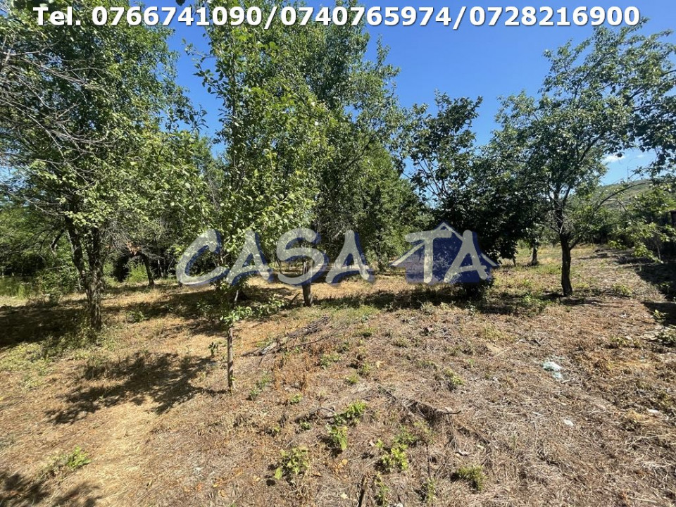 Casa 4 Camere, Parter, Runcu - Baltisoara