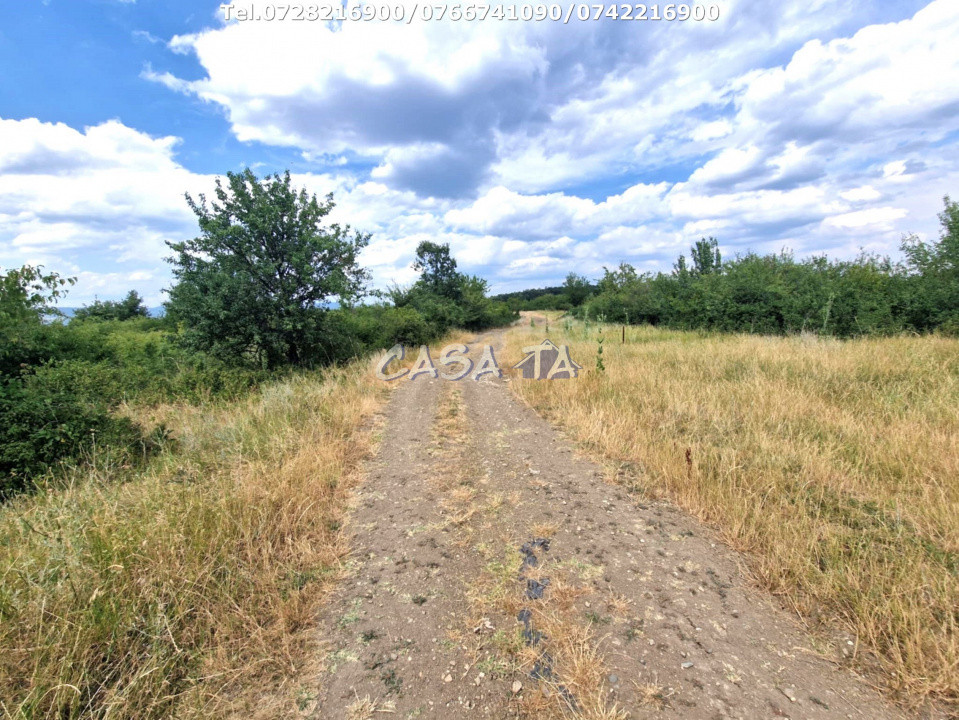 Teren Extravilan (11.464 mp),situat în Targu-Jiu, Str Ciresului