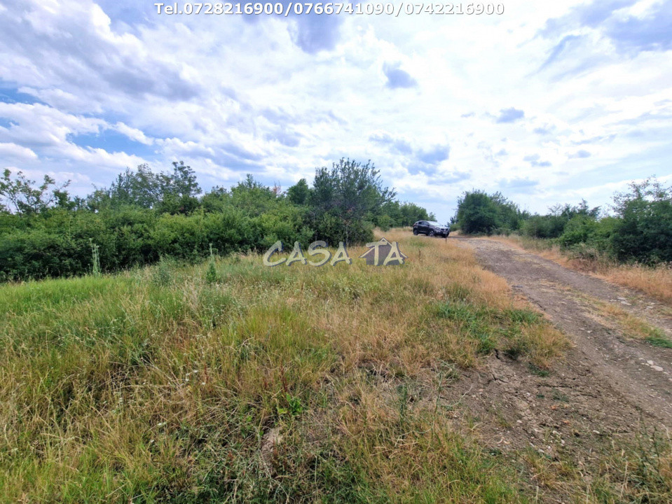 Teren Extravilan (11.464 mp),situat în Targu-Jiu, Str Ciresului